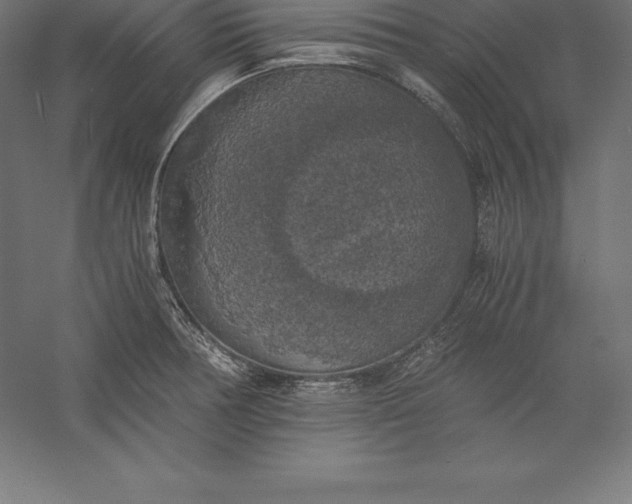 X0000056341378200509091519