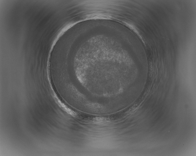 X0000056341379200509091519