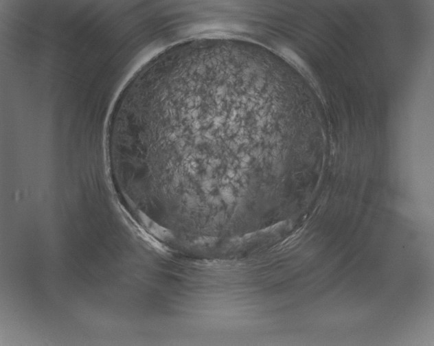 X0000056341384200509091519