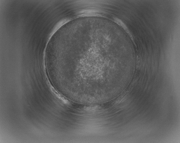 X0000056341386200509091519