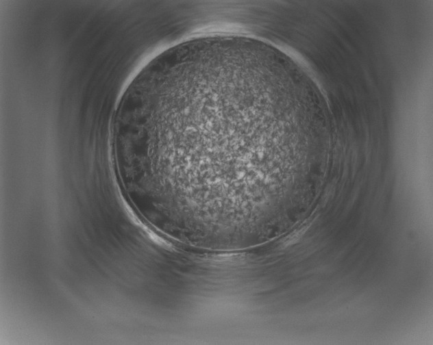 X0000056341390200509091519