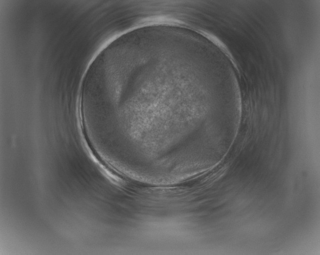 X0000056341391200509091519