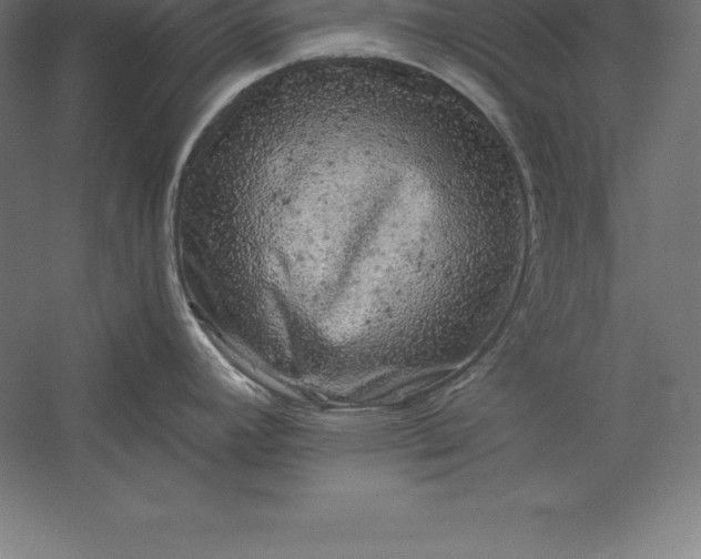 X0000056341392200509091519