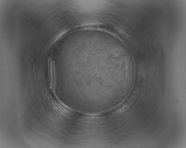 X0000056341401200509091518