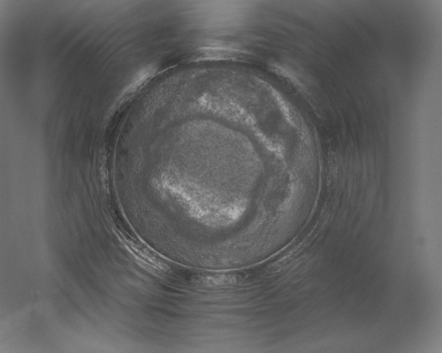 X0000056341403200509091518