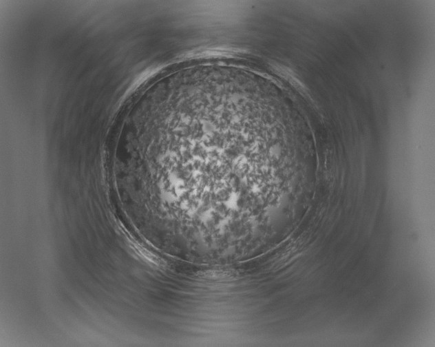 X0000056341404200509091518