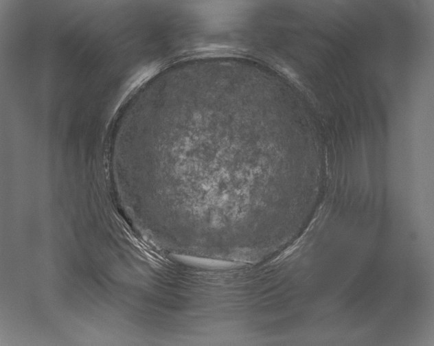 X0000056341405200509091518