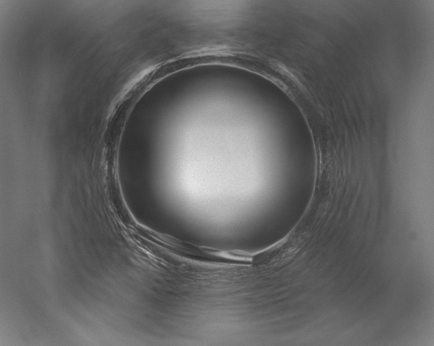X0000056341406200509091518