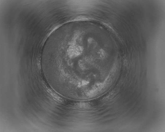 X0000056341409200509091518