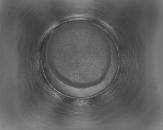 X0000056341411200509091518