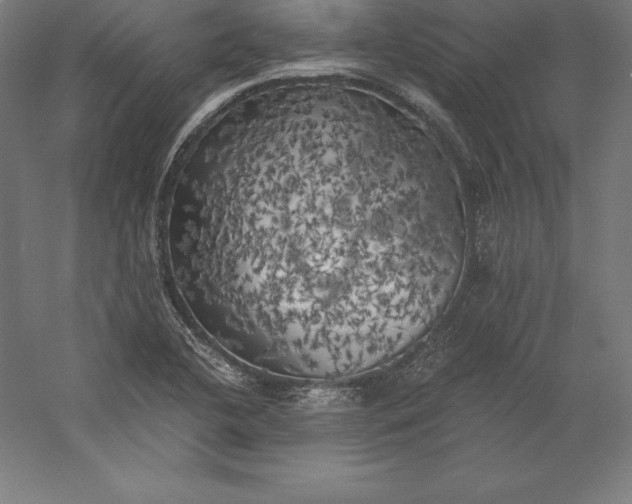 X0000056341412200509091518