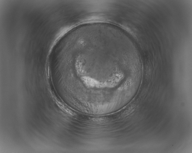 X0000056341413200509091518