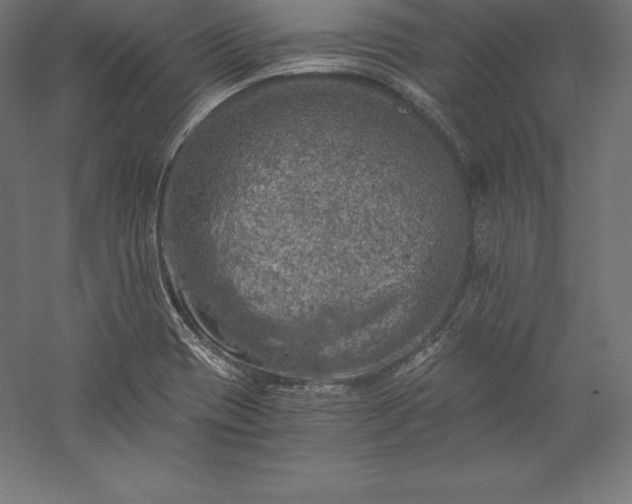 X0000056341417200509091518