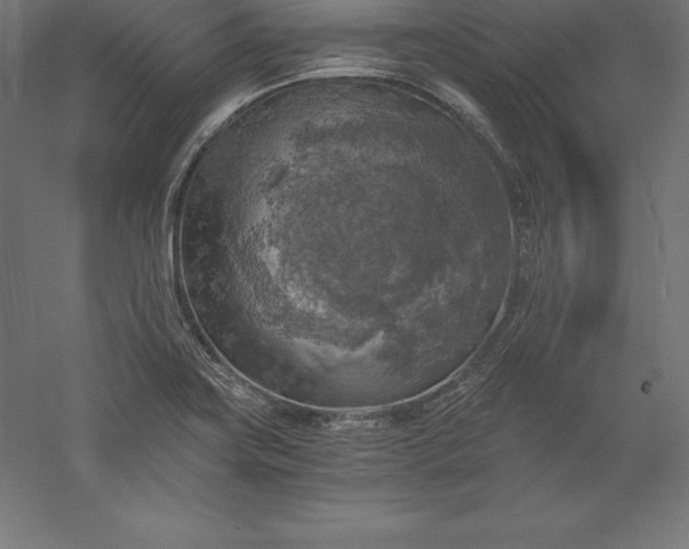 X0000056341419200509091518