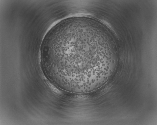 X0000056341420200509091518
