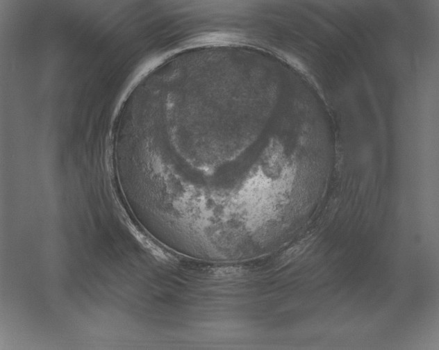 X0000056341421200509091518