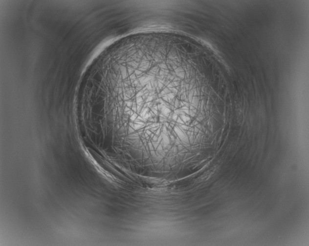 X0000056341422200509091518