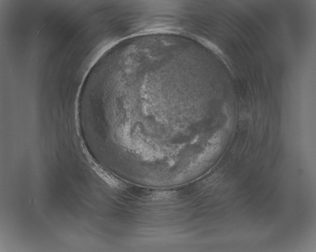 X0000056341423200509091518