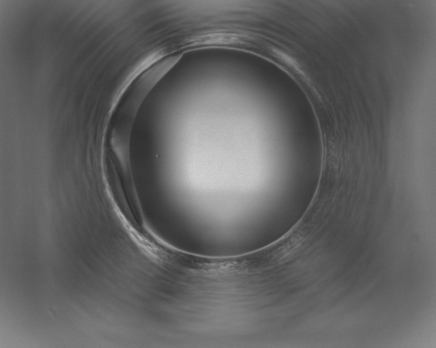 X0000056341426200509091518