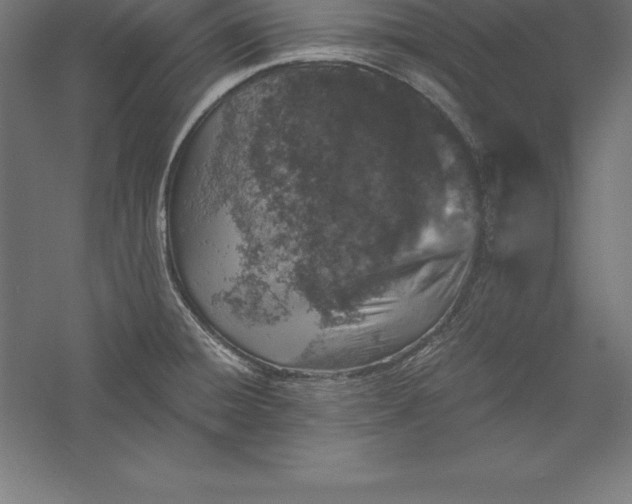X0000056341428200509091518