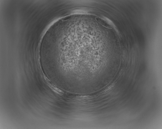 X0000056341435200509091518