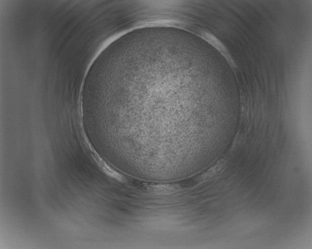 X0000056341436200509091518