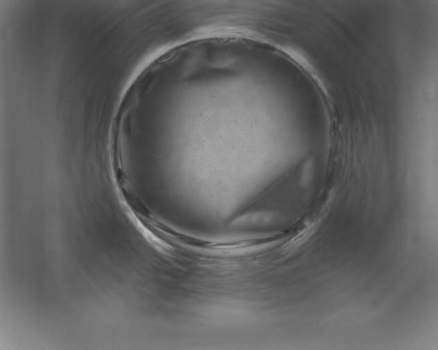 X0000056341438200509091519