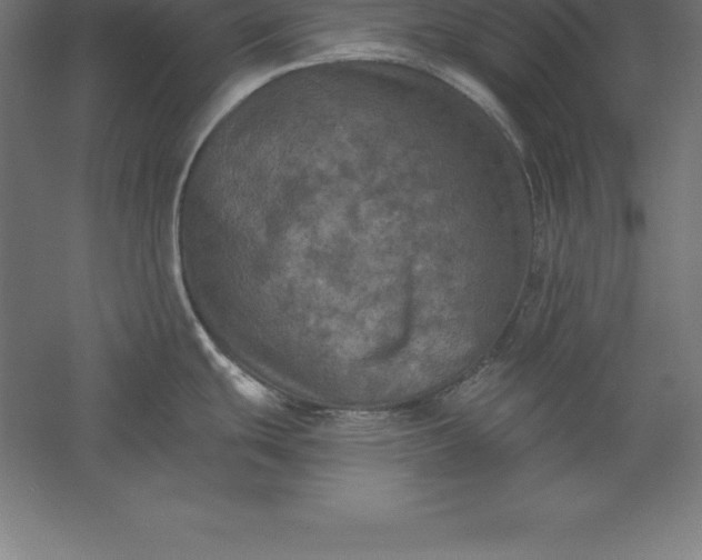 X0000056341439200509091519