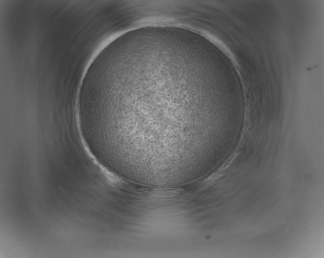 X0000056341440200509091519