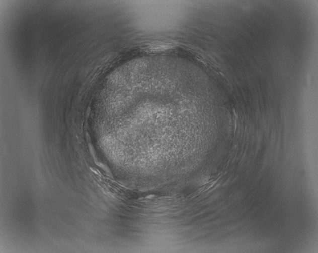 X0000056341441200509091518