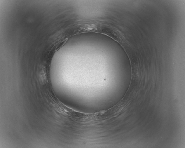 X0000056341442200509091518