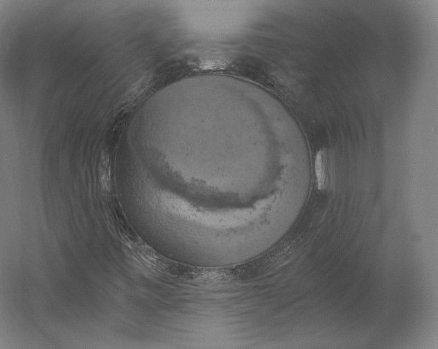 X0000056341443200509091518
