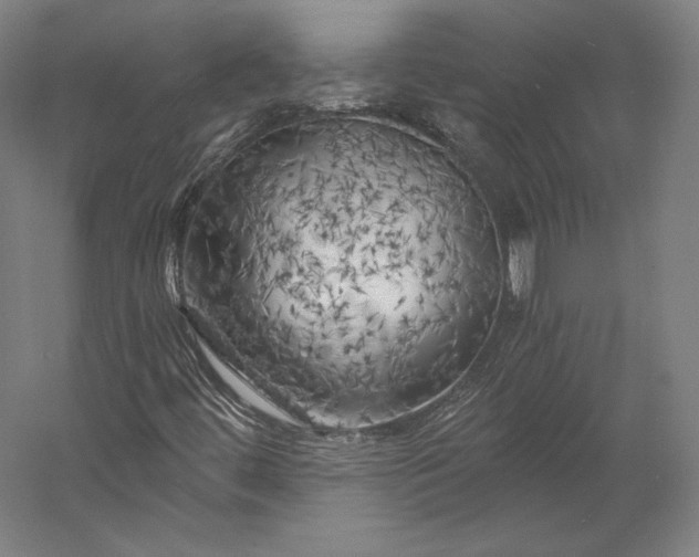X0000056341444200509091518