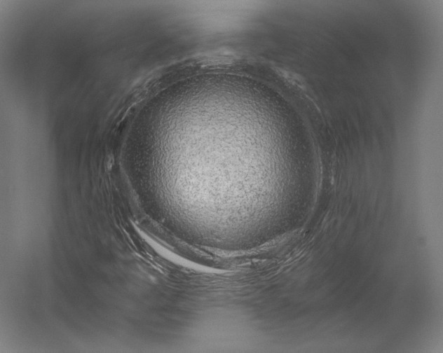 X0000056341445200509091518