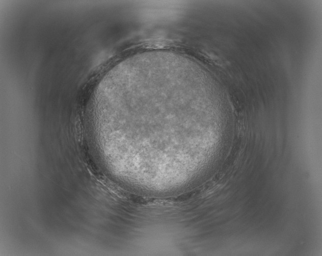 X0000056341446200509091518
