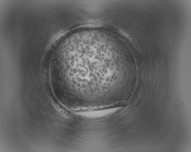 X0000056341448200509091518