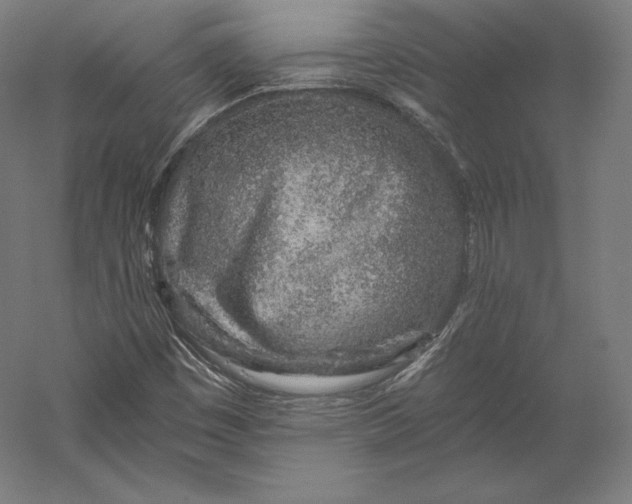 X0000056341449200509091518