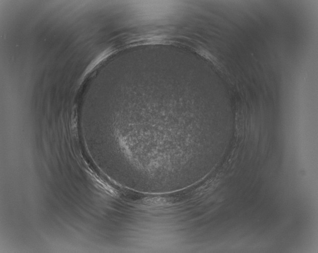X0000056341450200509091518