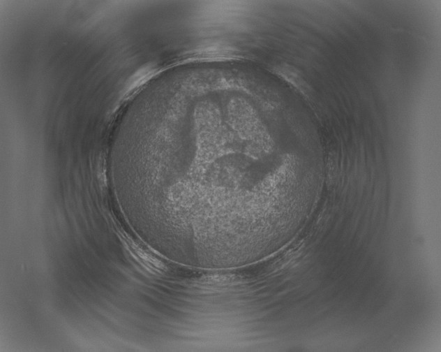 X0000056341451200509091518