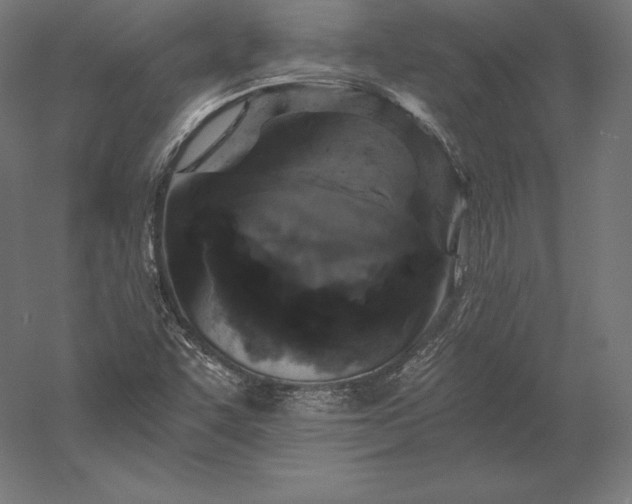 X0000056341455200509091517