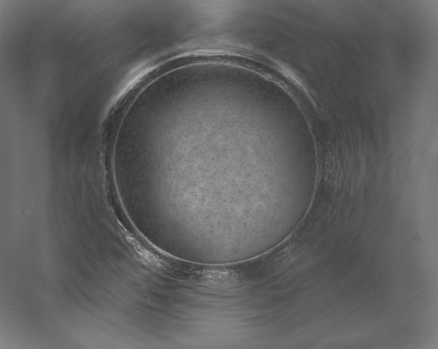 X0000056341456200509091517