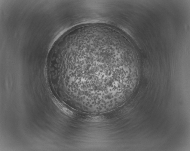 X0000056341460200509091517