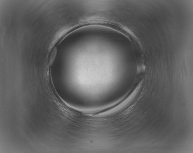 X0000056341461200509091517
