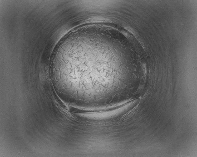 X0000056341465200509091517