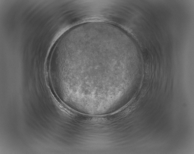 X0000056341466200509091517