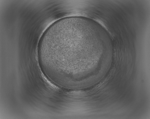 X0000056341468200509091517