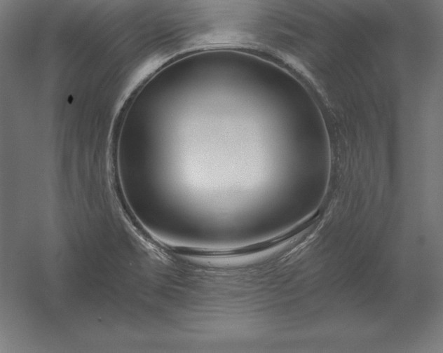X0000056341469200509091517