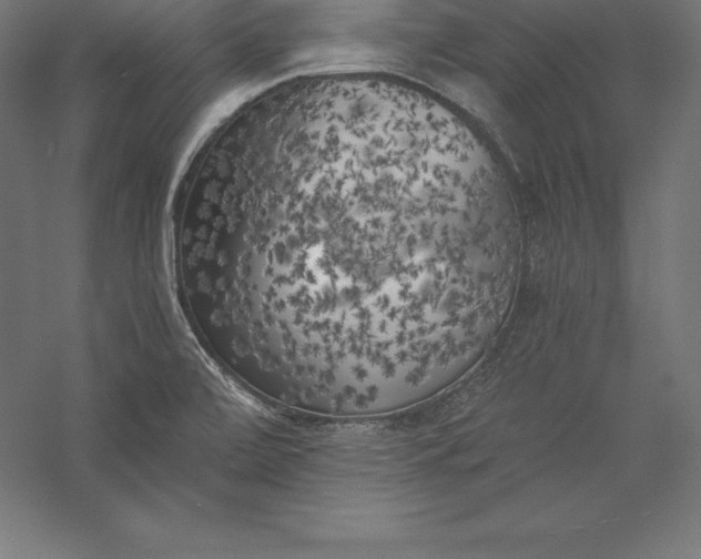 X0000056341472200509091517