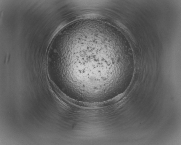 X0000056341473200509091517