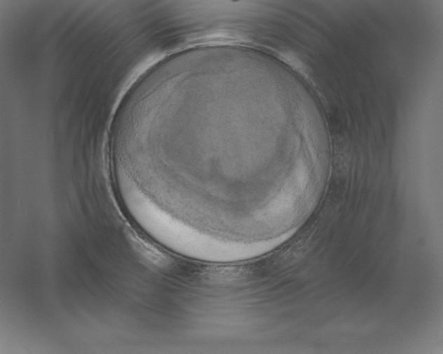 X0000056341474200509091517